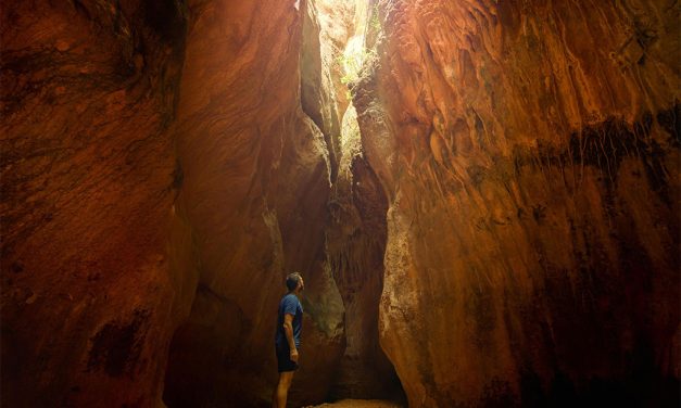 Claraboya. CAVERNA PROVOCATIVA
