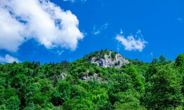 Claraboya. EL MONTE DE LA VIDA (Bizitzamendi)