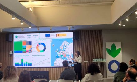 La innovación social colectiva es la clave para alcanzar la inclusión
