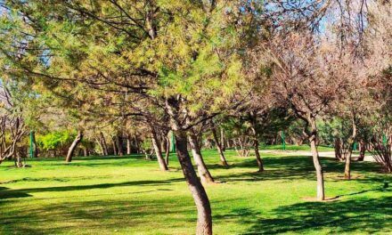 Córdoba recibe el premio Espacios Healthy Cities