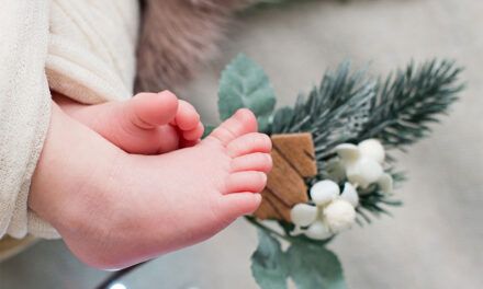 Claraboya. FUGITIVOS DEL ACCIDENTE