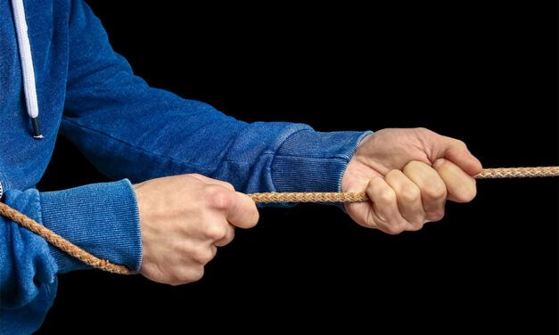 Claraboya. TENSAR LAS CUERDAS