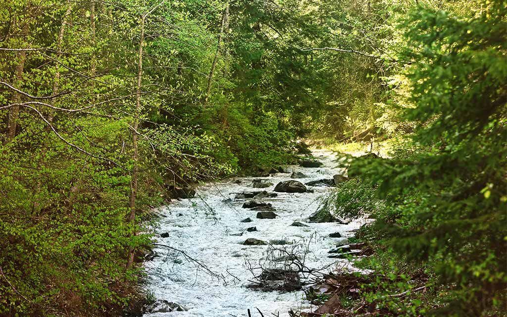 Ecoherencia lanza el proyecto «Ecosistemas de Aprendizaje» para fortalecer la economía social en Andalucía y Madrid