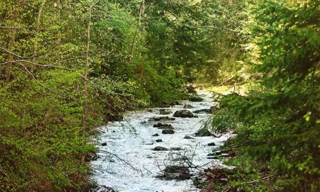 Ecoherencia lanza el proyecto «Ecosistemas de Aprendizaje» para fortalecer la economía social en Andalucía y Madrid