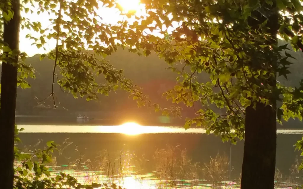 Claraboya. PROCESO DESINTOXICANTE