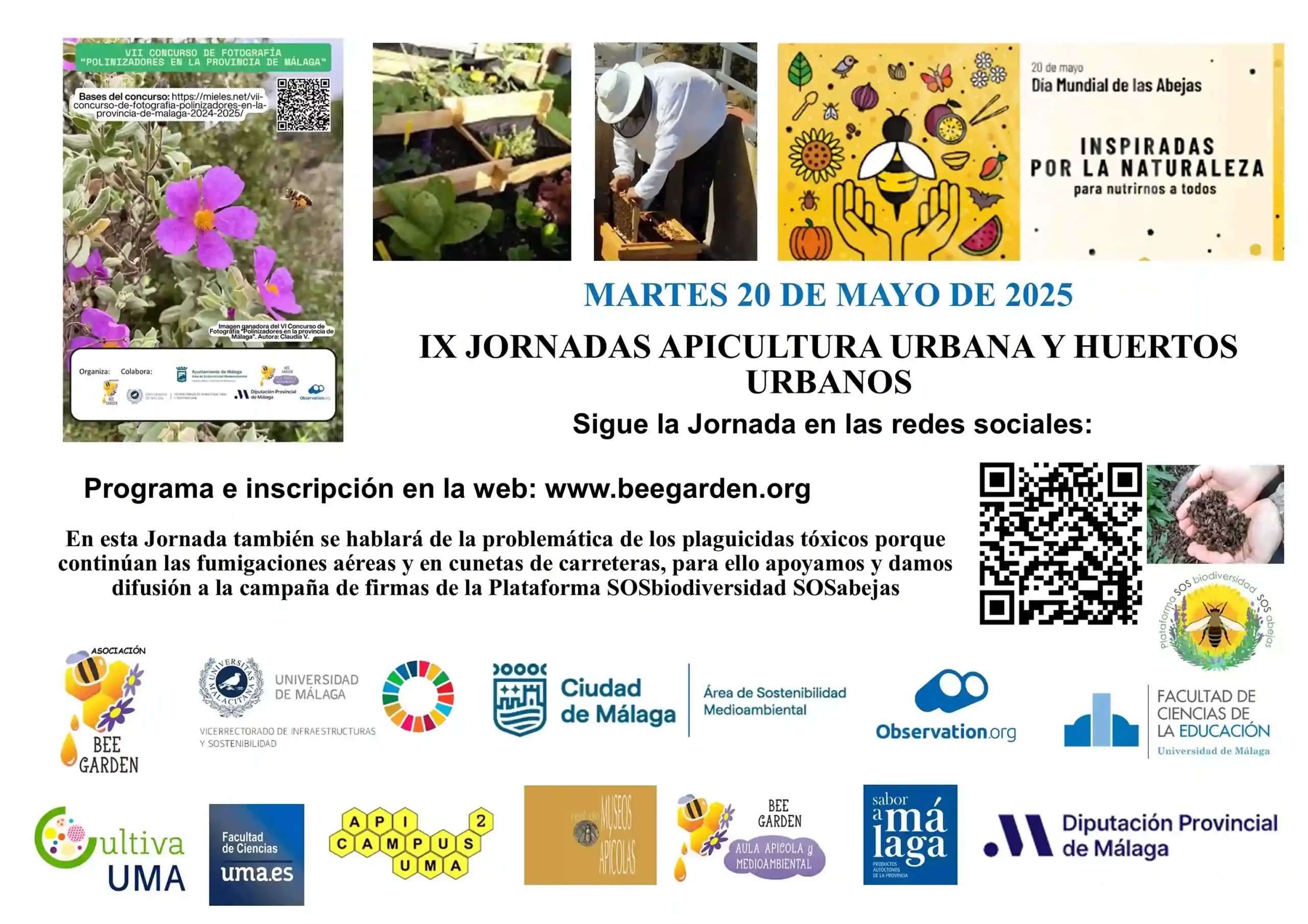 Cartel jornada de apicultura urbana