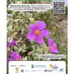 Día Mundial de las Abejas – IX Jornada de Apicultura Urbana y Huertos Urbanos