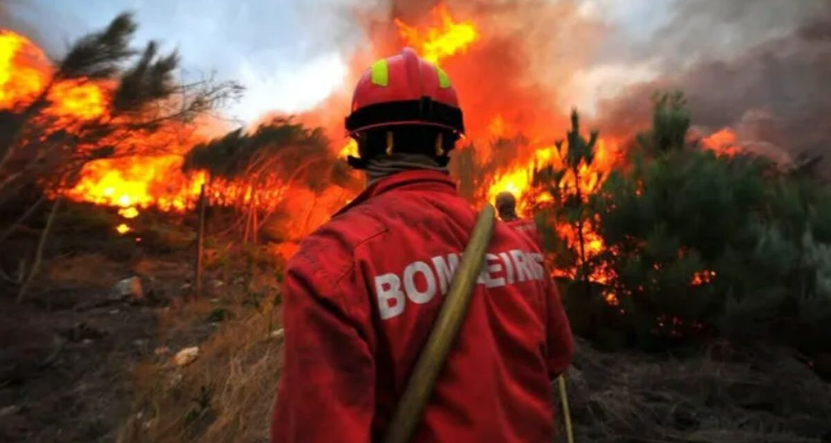 Así podrás ayudar a las víctimas de los últimos incendios en España y Portugal