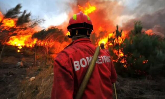 Así podrás ayudar a las víctimas de los últimos incendios en España y Portugal