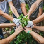 Centinelas de la Economía Social celebra su cierre en Sevilla