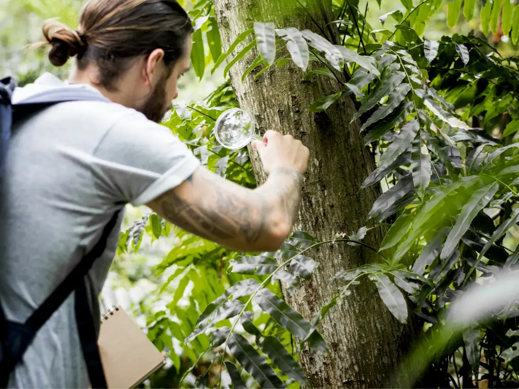 Entre sus prioridades inmediatas, la Alianza por la Restauración de la Naturaleza se propone impulsar un Plan Nacional de Restauración ambicioso y coherente con el Reglamento 2024/1991, basado en la mejor evidencia científica y en la eliminación efectiva de impactos