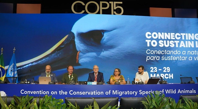 La COP15 de Campo Grande adoptó 39 resoluciones para fortalecer la conservación de especies, hábitats y conectividad ecológica, y se acordó reforzar la protección de 40 especies