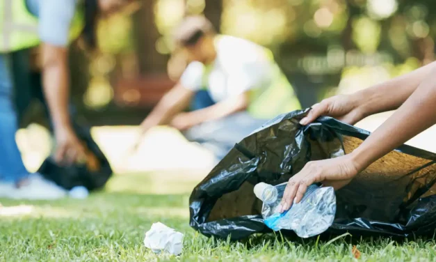 España lidera la reducción de basura en la UE en lo que va de siglo