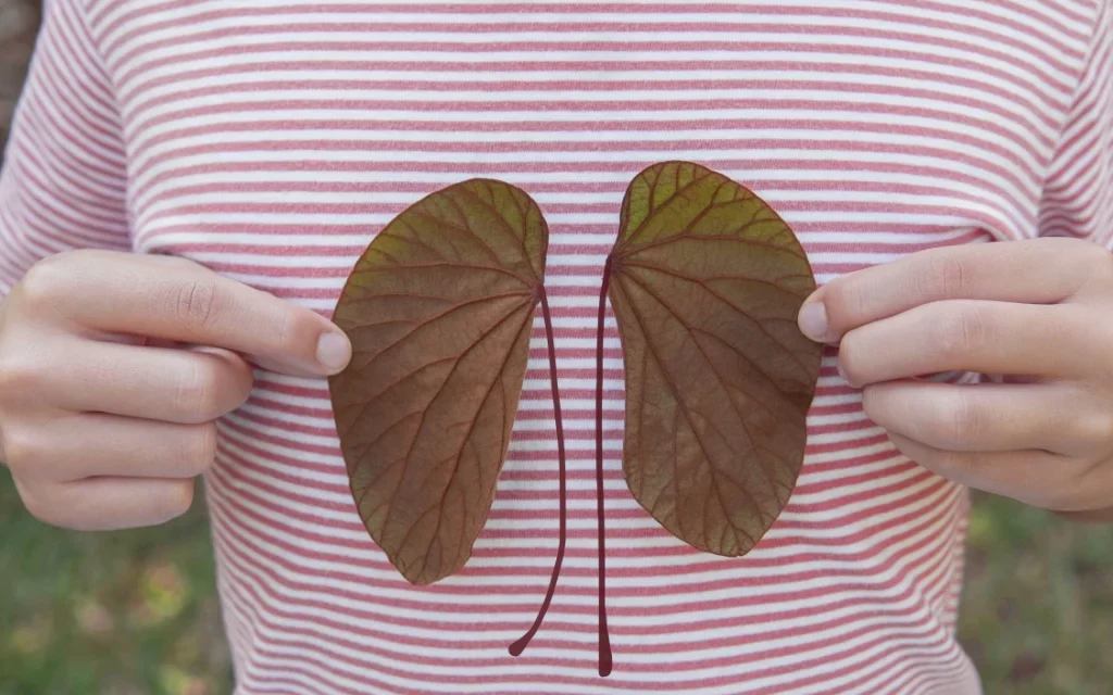 El fósil del reptil Captorhinus desvela el origen de la respiración torácica