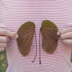 El fósil del reptil Captorhinus desvela el origen de la respiración torácica