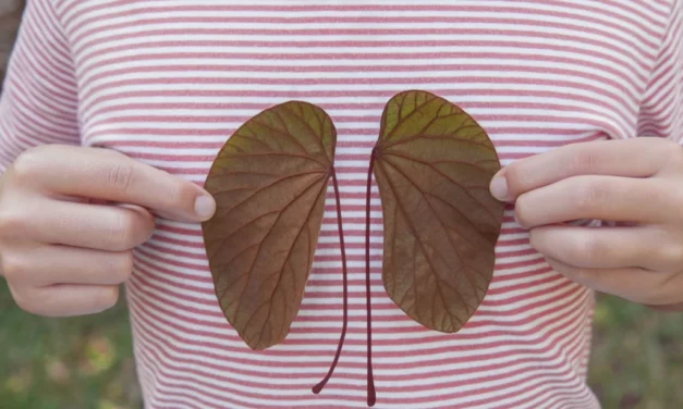 El fósil del reptil Captorhinus desvela el origen de la respiración torácica