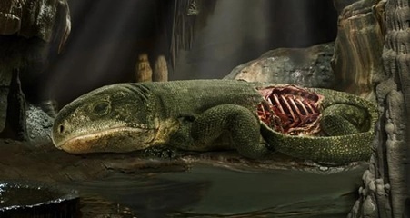 Recreación del reptil ‘Captorhinus’, con 289 millones de años de antigüedad, en la postura en la que murió,dentro de un sistema de cuevas | Imagen de Michael DeBraga