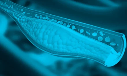 Aitheroscope, el proyecto español finalista en los Premios a la Innovación Social de Fundación Mapfre