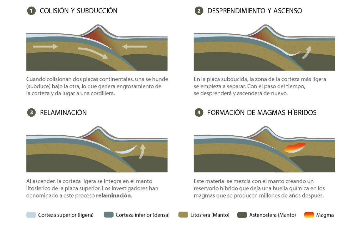 Descripción gráfica del proceso de relaminación | Foto de MNCN