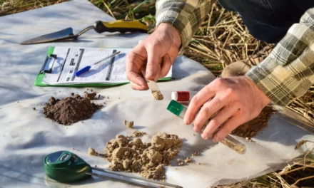 La biodiversidad del suelo protege a los cultivos y a la salud humana frente a patógenos bacterianos