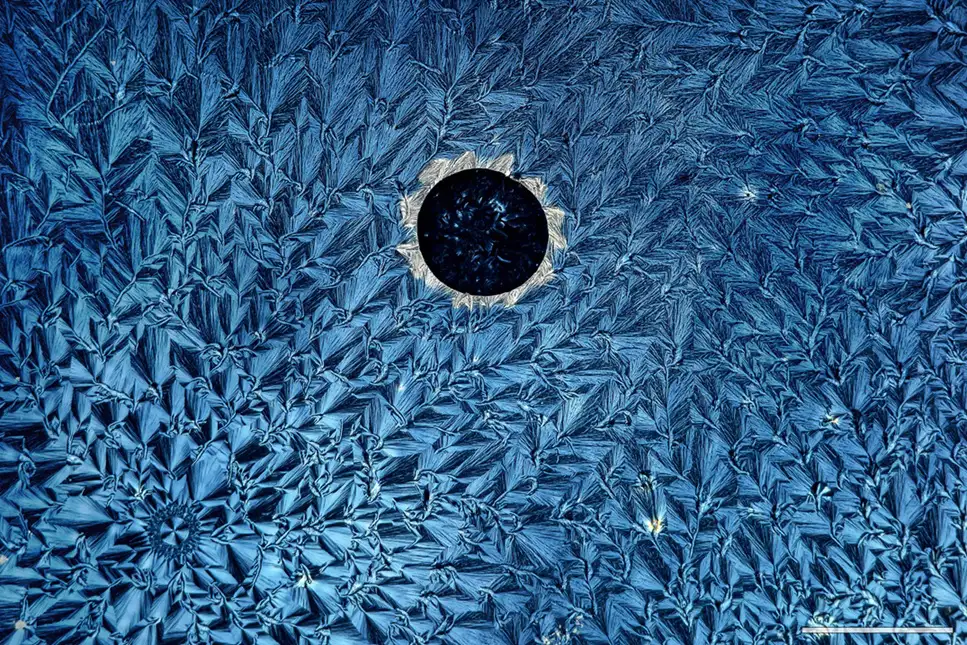 'Eclipse molecular', la vitamina C observada bajo luz polarizada | Foto de Lola Molina Fernández