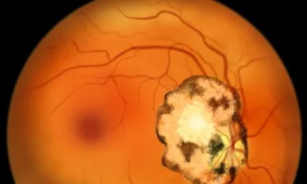Descubren la erucamida: la molécula que ayuda al ojo a frenar la pérdida de visión