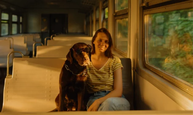 Renfe permitirá viajar con perros de hasta 40 kilos en todos sus trenes