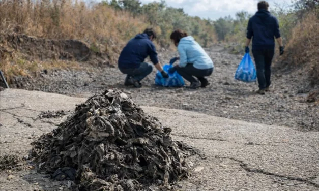 “Centinelas del Guadalhorce” cierra su primera edición implicando a 270 escolares y retirando cerca de media tonelada de residuos del río