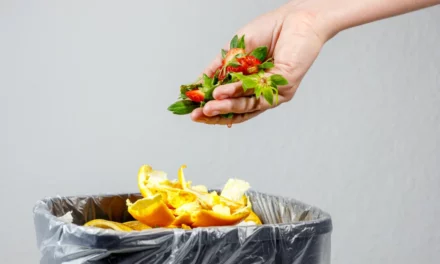 España lidera la reducción del desperdicio alimentario en Europa