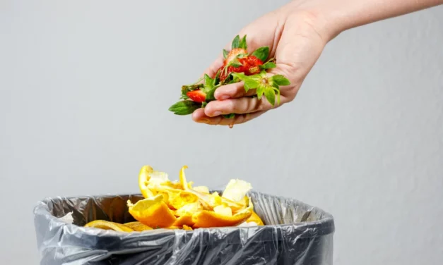 España lidera la reducción del desperdicio alimentario en Europa