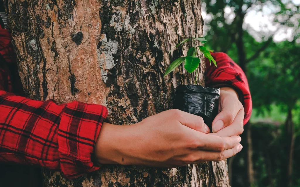La restauración de ecosistemas revive millones de hectáreas y crea empleo verde en el mundo