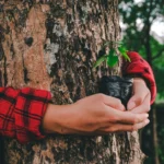 La restauración de ecosistemas revive millones de hectáreas y crea empleo verde en el mundo
