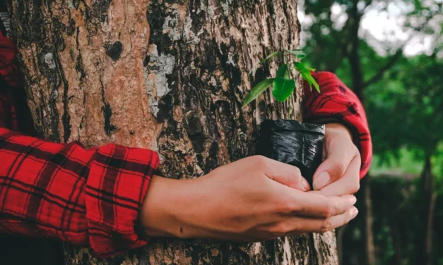 La restauración de ecosistemas revive millones de hectáreas y crea empleo verde en el mundo
